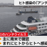 クルーズ船で集団感染疑いのハンタウイルスはヒト感染の｢アンデス型｣ アルゼンチンでは今年に入って42件の感染例が報告