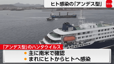 クルーズ船で集団感染疑いのハンタウイルスはヒト感染の｢アンデス型｣ アルゼンチンでは今年に入って42件の感染例が報告