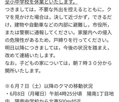宇都宮市さん、熊休みへ