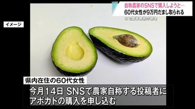 ”ニセ農家”SNS詐欺が急増 アボカドを購入しようとした女性は9万円被害 実在する農家になりすますパターンも