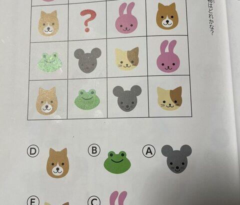 【画像】難易度が高すぎる５歳用ドリル、お前らわかる？