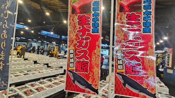 若者がドンキで「クジラの刺し身」を買う時代に…「鯨肉」が再び“身近な食材”になった背景とは