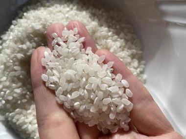 JAのコメ担当者､泣く｢もう倉庫にコメが入らない｣ 新米5kg3000円割れの可能性も
