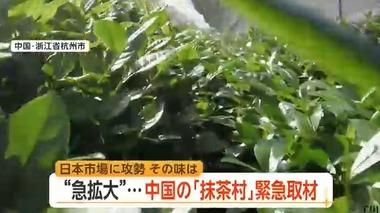 世界で広がる抹茶ブーム､中国では｢抹茶｣生産が急拡大 日本を含む世界各国に輸出 日本と同じ栽培法で価格は半額以下