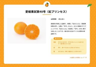 愛媛産の高級かんきつ新品種｢紅プリンセス(愛媛果試第48号)｣が中国流出か 大手通販サイト｢タオバオ｣で販売される