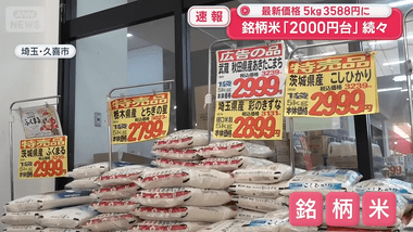 コメ余り懸念で安売り急増 食品スーパー､販売数量の85%が特売