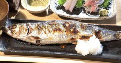 サーモン・サバ高騰でニシンが注目「脂がのって身もふわふわ」漁獲量と価格が安定