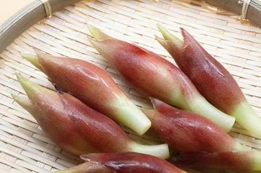 ぼく農家「(みょうがって誰が買うんだろう…)」