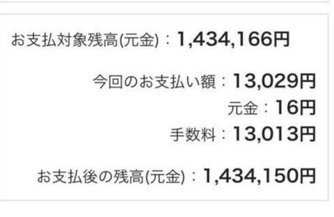 リボ払いにすれば月々1万円の返済で好きなものなんでも買えるという事実
