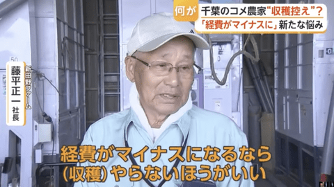 【悲報】コメ農家、ついにキレた！価格下落なら「収穫しない方がいい」