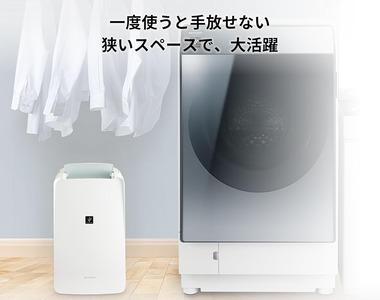 除湿機ってあったほうがいい？