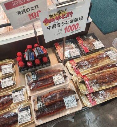 【朗報】ワイちゃん激安うなぎを購入