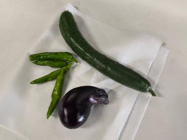 【画像】プランター家庭菜園俺、ついに収穫ｗｗｗｗｗｗｗ