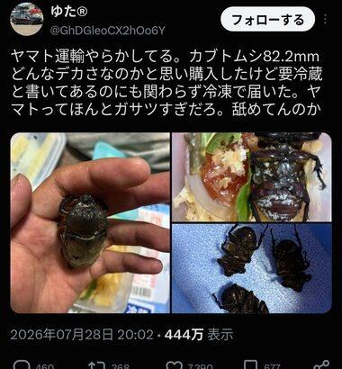 冷蔵で配送されるはずだったカブトムシさん、冷凍で配送され死亡