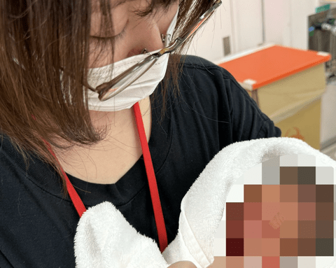 【悲報】たぬかな「無事出産しました。ホビットのたたりはあるよ」