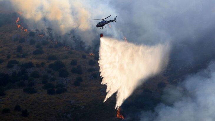 【海外】イタリア南部で山火事　複数のネコに火を点けて放し放火か