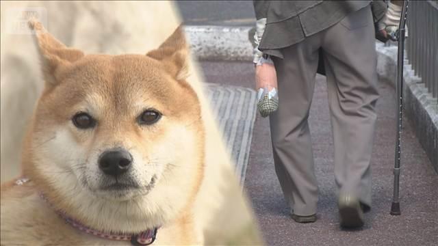 【社会】犬の飼育で認知症リスク48％低下　7年半に及ぶ調査で判明　医療費削減効果も