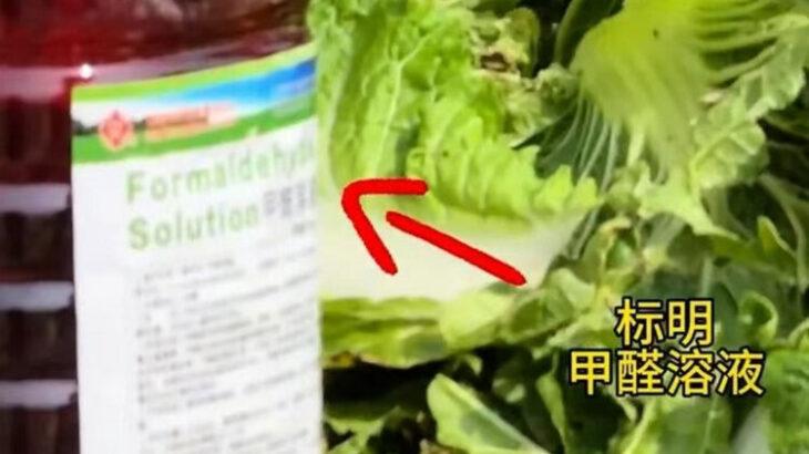 【国際】中国産白菜、「遺体保存剤」として使われる発がん性物質まみれ…韓国で中国産キムチ輸入量が過去最大