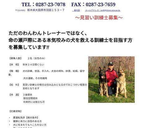 【悲報】犬のしつけ士「見習い募集します！対象は18歳～27歳の女性のみです！」