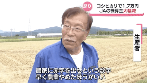【悲報】米農家、激怒。JA買い取り価格60kg17000円（去年29000円）に「赤字出せという数字。早く農業やめたほうがいい」