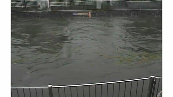 東京・善福寺川にレベル4氾濫危険警報　板橋区で1時間120ミリ超の雨、東京23区などで大雨危険警報も