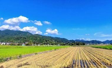 田舎暮らししたいんだけど