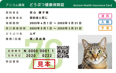 猫飼ったんやが、ペット保険って入ったほうがいいんか？