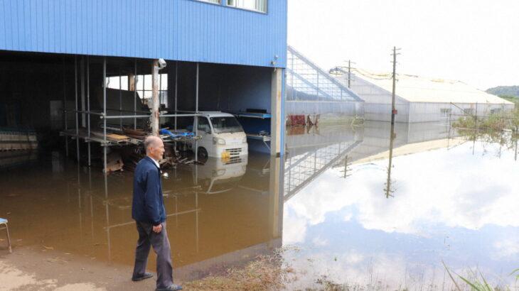 【千葉・成田市】ウナギ5万匹流される「どこかで生き延びて」　印旛沼の堤防決壊