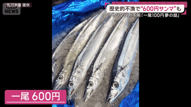 もうスーパーでサンマ売ってる？