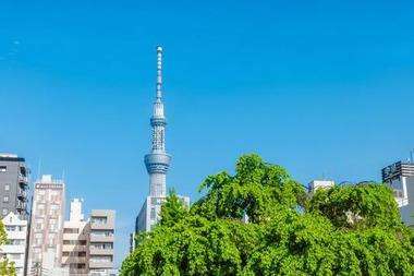 女性に聞いた老後を過ごしたい｢都道府県｣ランキング！2位は｢沖縄県｣ 1位は｢東京都｣