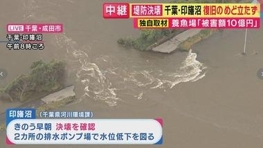 台風25号の影響で千葉･印旛沼の堤防が決壊し広範囲に浸水 65年の歴史ある養魚場も浸水し錦鯉など10万匹逃げ出し