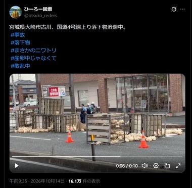 宮城県大崎市古川栄町 ｢ニワトリがいっぱいいる｣と通報 約2500羽を積んだケージがトラックから崩れ落ちる