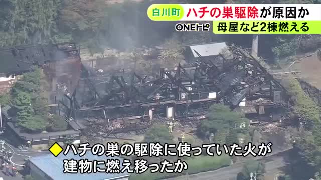 ハチの巣を自力で駆除しようとしていたおじいちゃん、うっかり自宅を全焼させてしまう