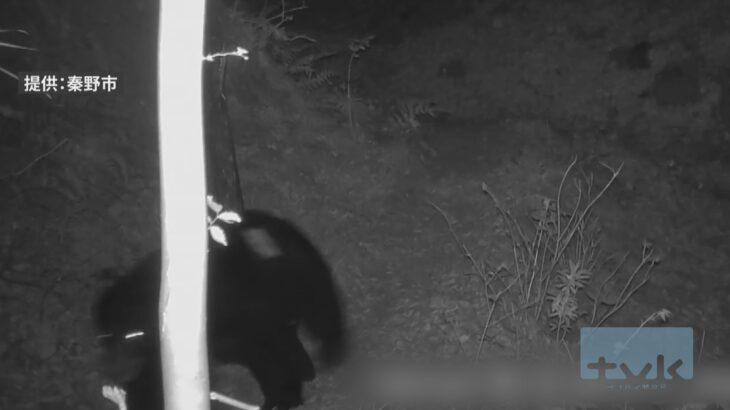 【神奈川】秦野市弘法山公園付近でツキノワグマが再出没　今月20日に放獣した個体と同一