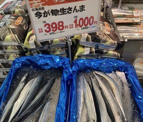 【悲報】秋刀魚の「価格」、限界突破ｗｗｗｗｗ