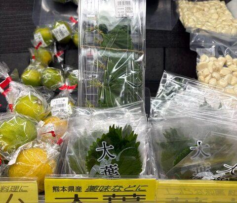 【悲報】大葉の値段が限界突破してるんだが…