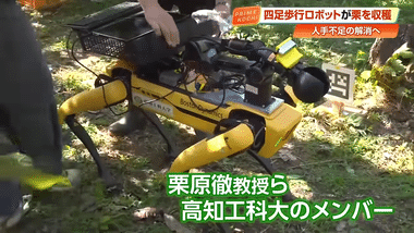 【悲報】栗拾いの仕事、ロボットに奪われそう