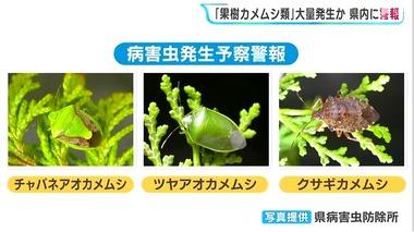 【悲報】静岡､カメムシが多すぎる 平年の約20倍のおそれ 静岡県内で28年ぶり｢病害虫発生予察警報｣