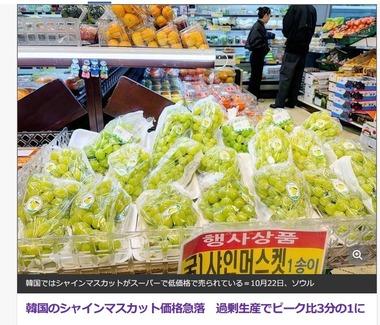 韓国のブドウ農家､シャインマスカット価格急落で死亡 過剰生産でピーク比3分の1に 韓国政府は輸出拡大を推進