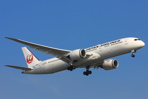 【悲報】JALに不正アクセス、顧客情報9万2千人分流出