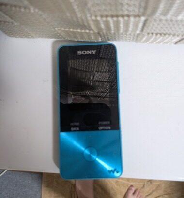 親父の部屋でさがしものしてたらソニーの機械出てきたけど