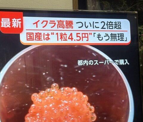 いくら、一粒4.5円へ　パチンコ玉超え