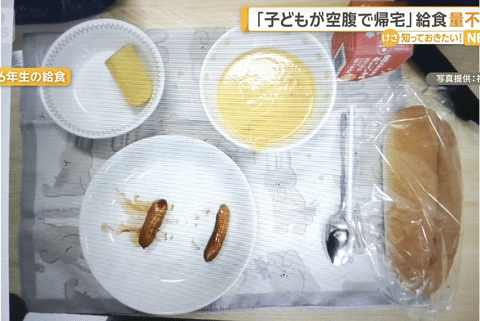 【画像】小学校の給食、あまりにもひどすぎる。ありがとう自民党