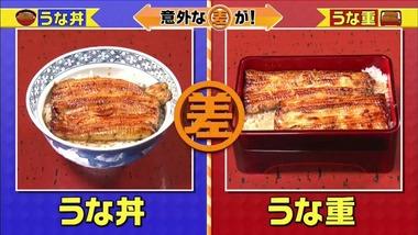 うな丼とうな重って何が違うんや？