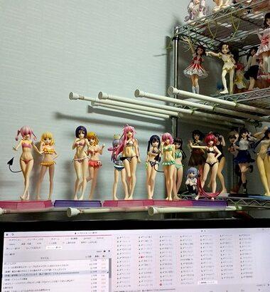 フィギュア棚作ったｗｗｗｗｗｗｗｗｗｗｗｗｗｗｗｗｗｗｗｗｗｗｗ
